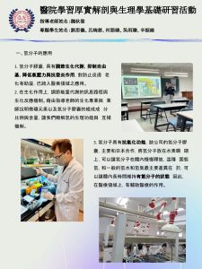 海報-HKU-1122-T08-新鮮人微專題-醫院臨床學習厚實解剖與生理學基礎研習活動.pptx – 劉思儀_頁面_4